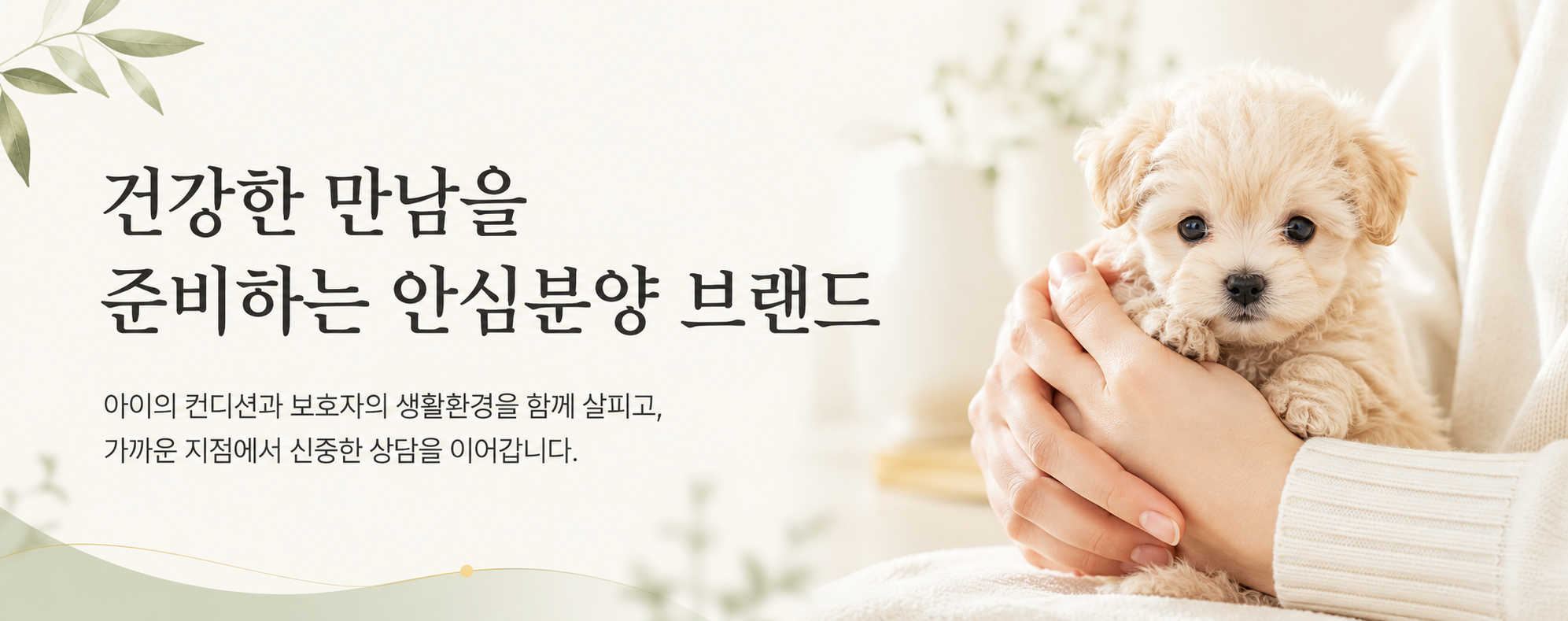 보호자의 손에 안긴 강아지와 함께 건강한 만남을 준비하는 헬스독 메인 이미지
